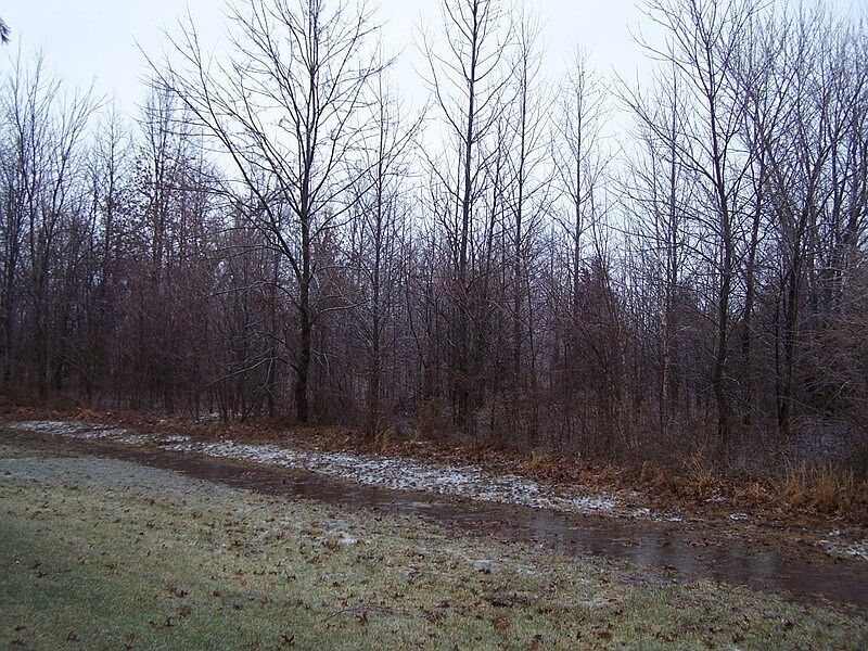 1st image of 0 Adams Ct
