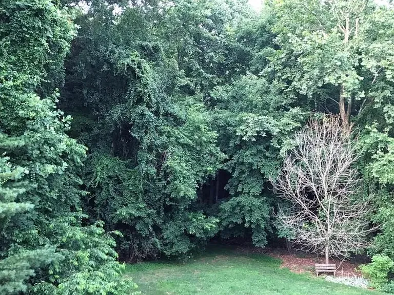1210 Chatham Rdg — Photo 11