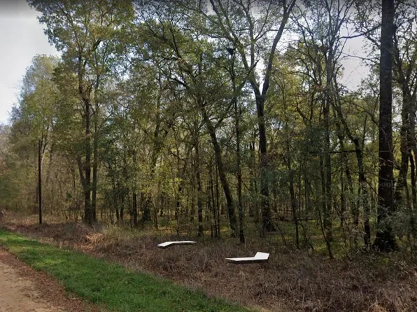 Smith St, Coldspring, TX 77331