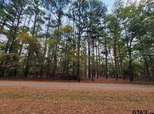 507 Wildwood Trl, Mount Vernon, TX 75457