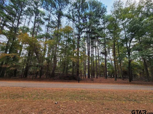 507 Wildwood Trl, Mount Vernon, TX 75457