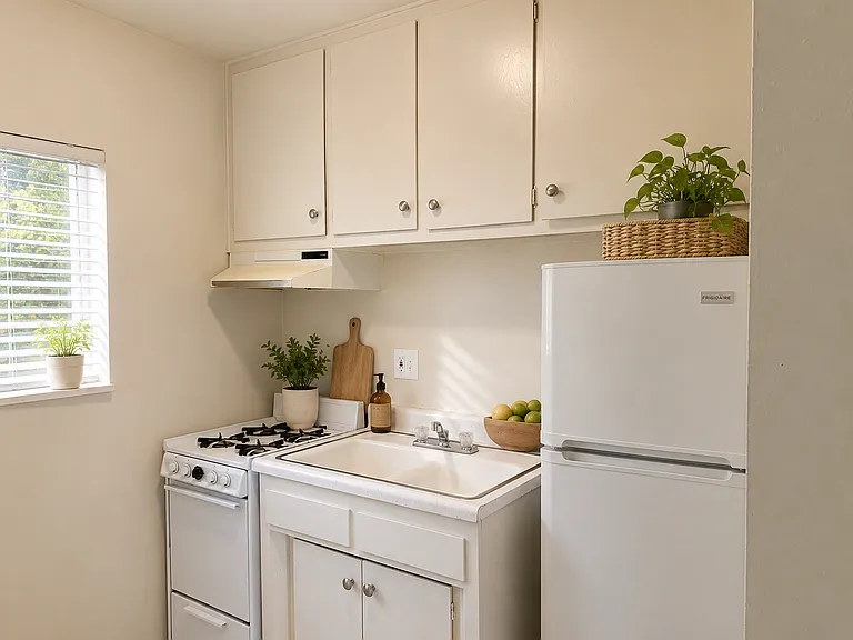 227 E 25th St #12 — Photo 6