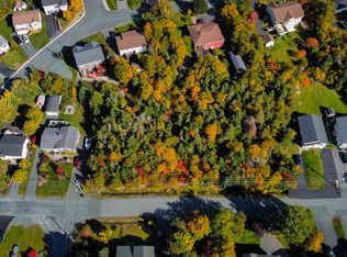 45 Swansea St #37, Conception Bay South, NL A1W4S2