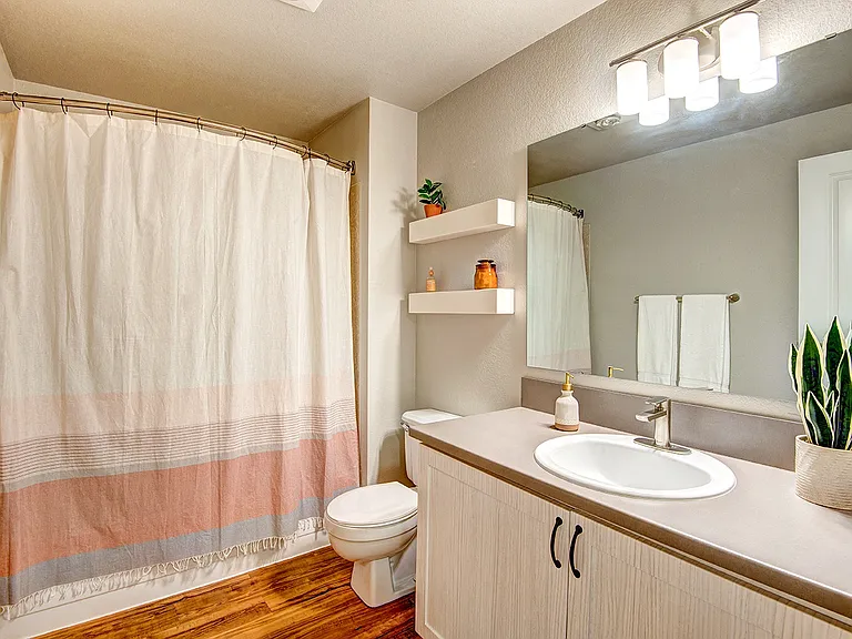 The Lynx Apartments — Photo 12