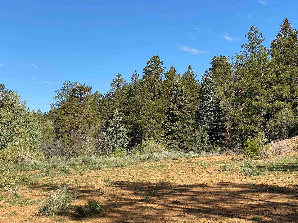 0 Badger Rd Chama, NM, 87520 Apartments for Rent Zillow