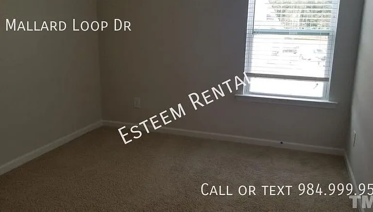 69 Mallard Loop Dr — Photo 12
