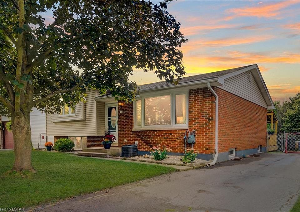 Sandalwood tree profit per acre image