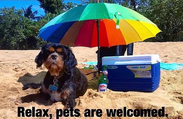 Rented by Mauro Bros Real Estate Services LLC | media 26