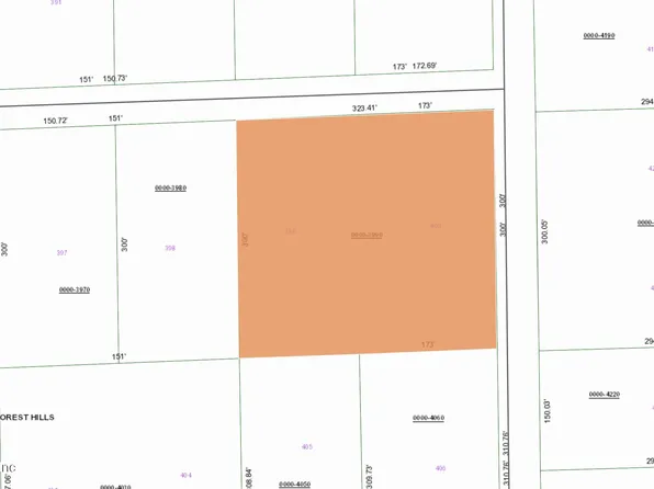 715 ORANGE BLOSSOM Street, Pomona Park, FL 32181