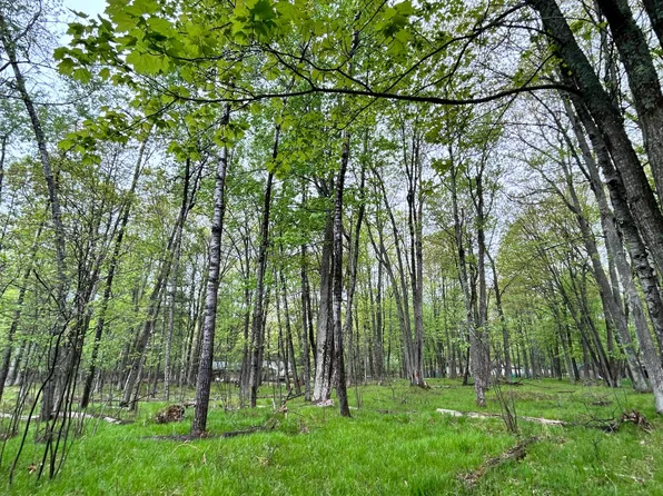 7841 Cameron Dr, Minocqua, WI 54548