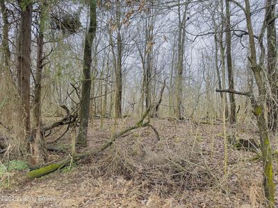 372 Lee Rd, Vine Grove, KY, 40175