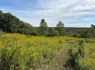 Dye Rd, South Dayton, NY 14138