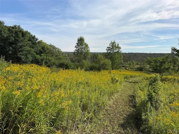 Dye Rd, South Dayton, NY 14138