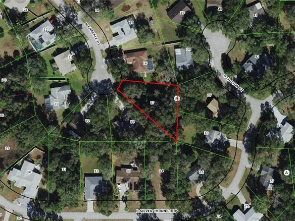 7105 N Grackle Point, Hernando, FL 34442