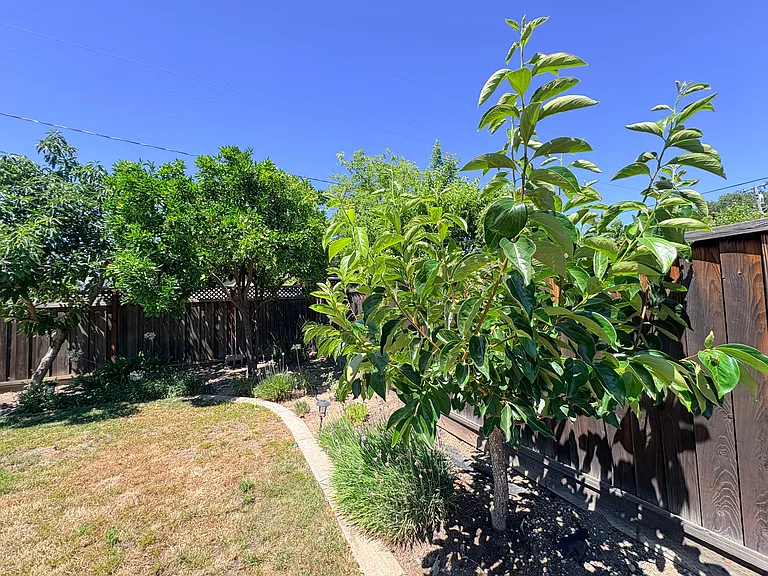 1695 Merrill Dr — Photo 25