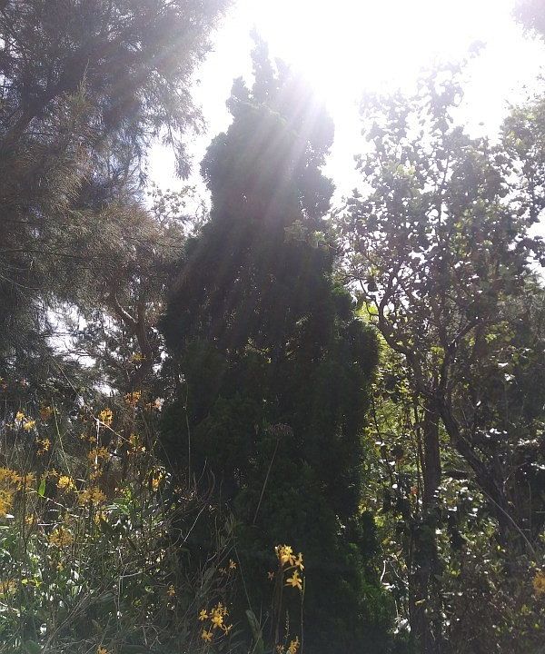 1st image of 92-8678 Reef Pkwy Lot 25