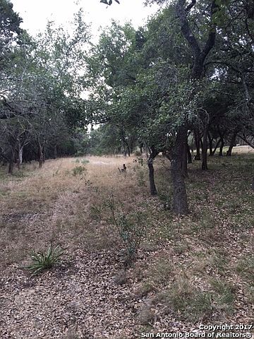 2nd image of 3070 Barton Hill Dr