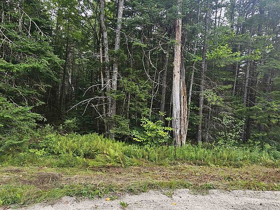 4th image of M14 L271 Lincoln Drive