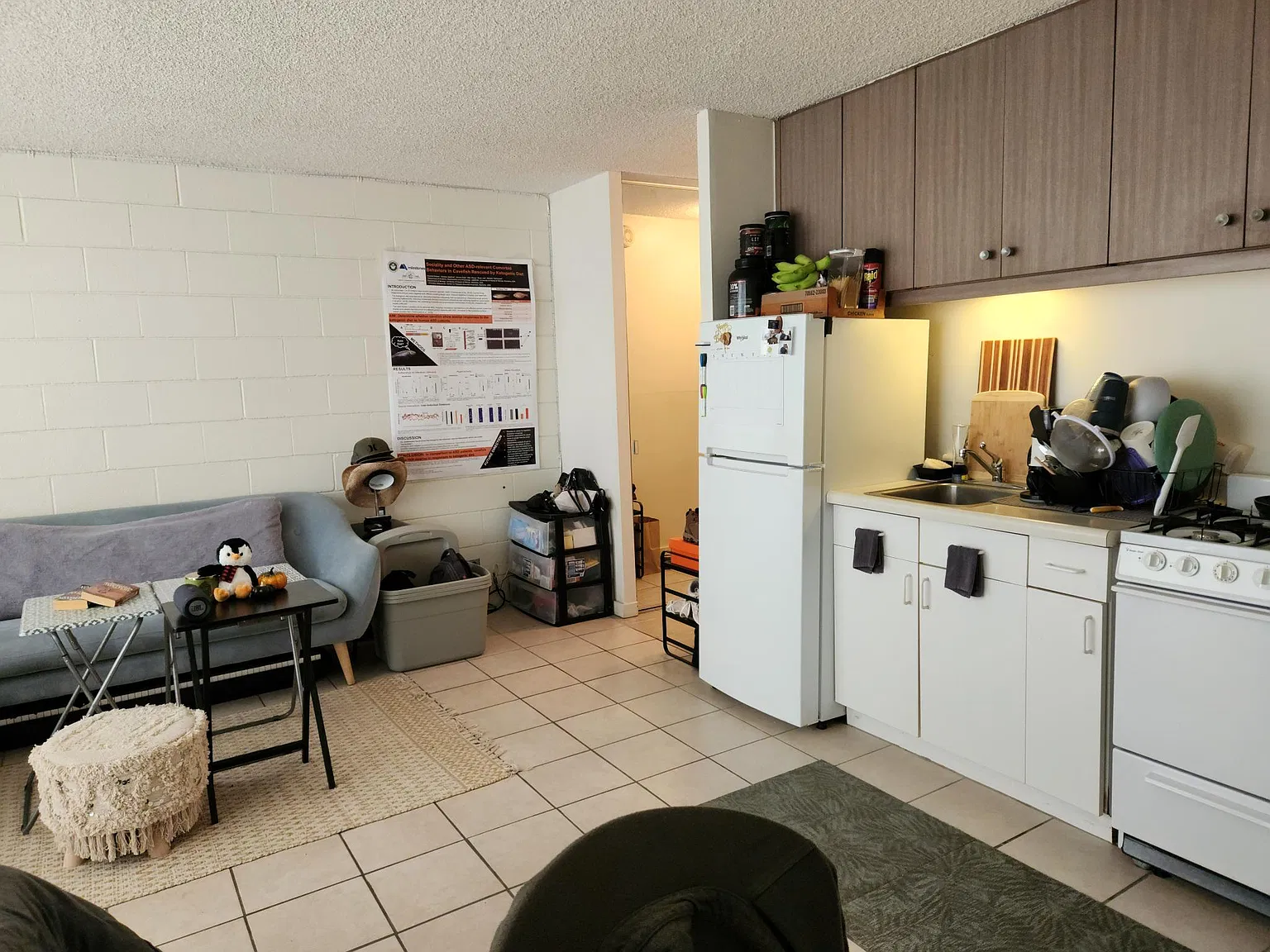 Studio, 360 sqft, $1,425 — Photo 4