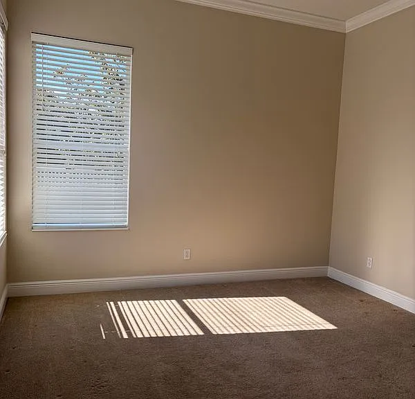 7779 Arolla Pine Blvd — Photo 16