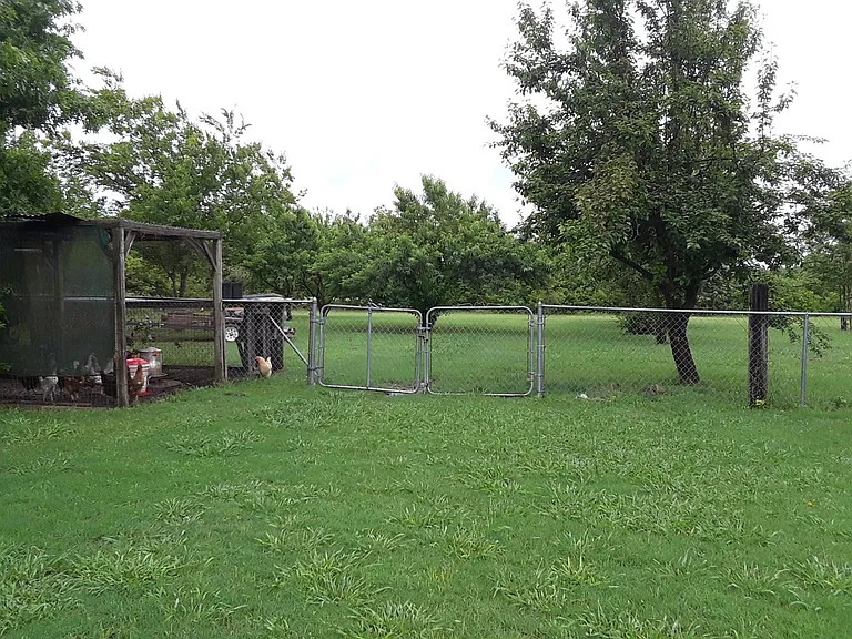 Additional Backyard. Peach Trees, Pear Trees, Workshop area.