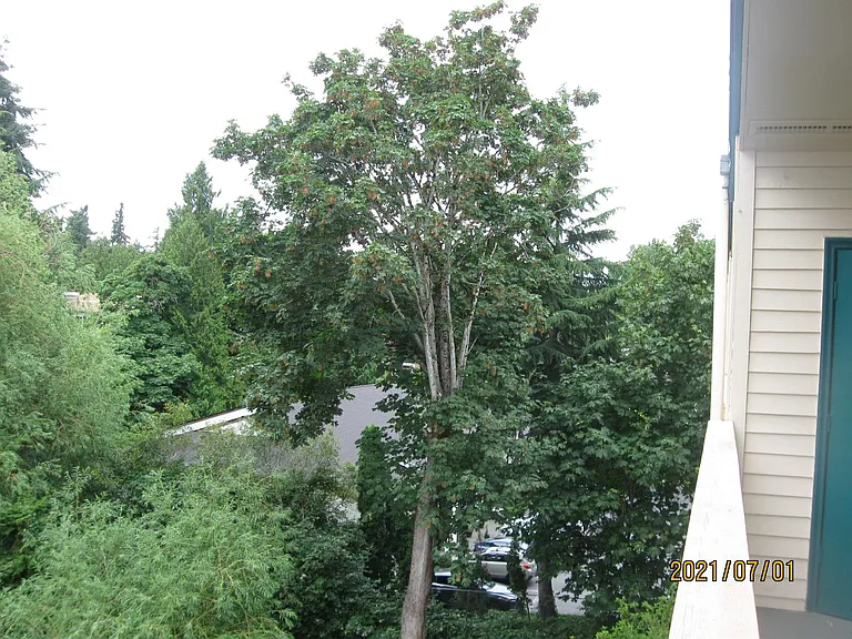 417 Bellevue Way SE #403 — Photo 10
