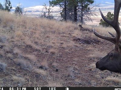 Fs Rd #613, John Day, OR, 97845