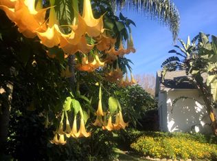 904 Spring Park Loop, Celebration, FL 34747