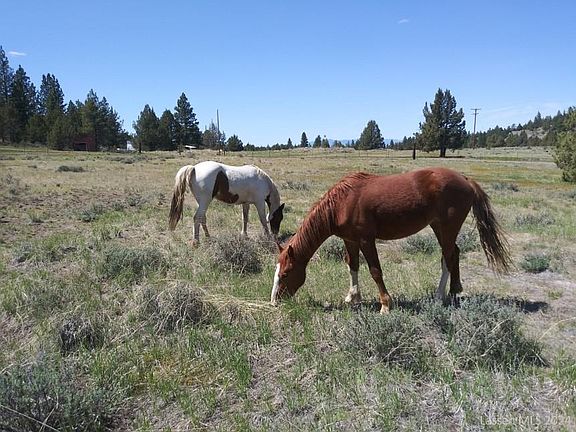 3rd image of 3560 County Road 9