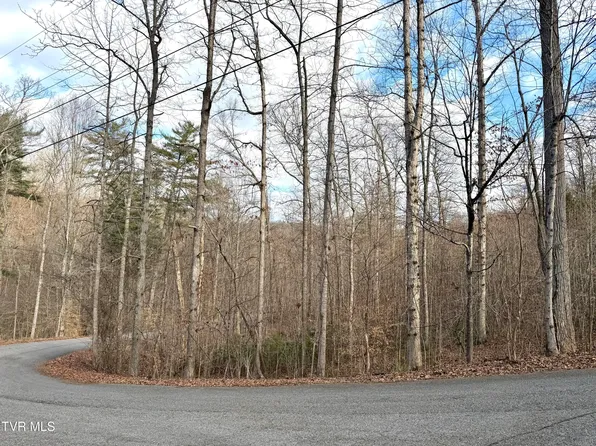 Lots 6&7 Skyline Dr, Bristol, TN 37620