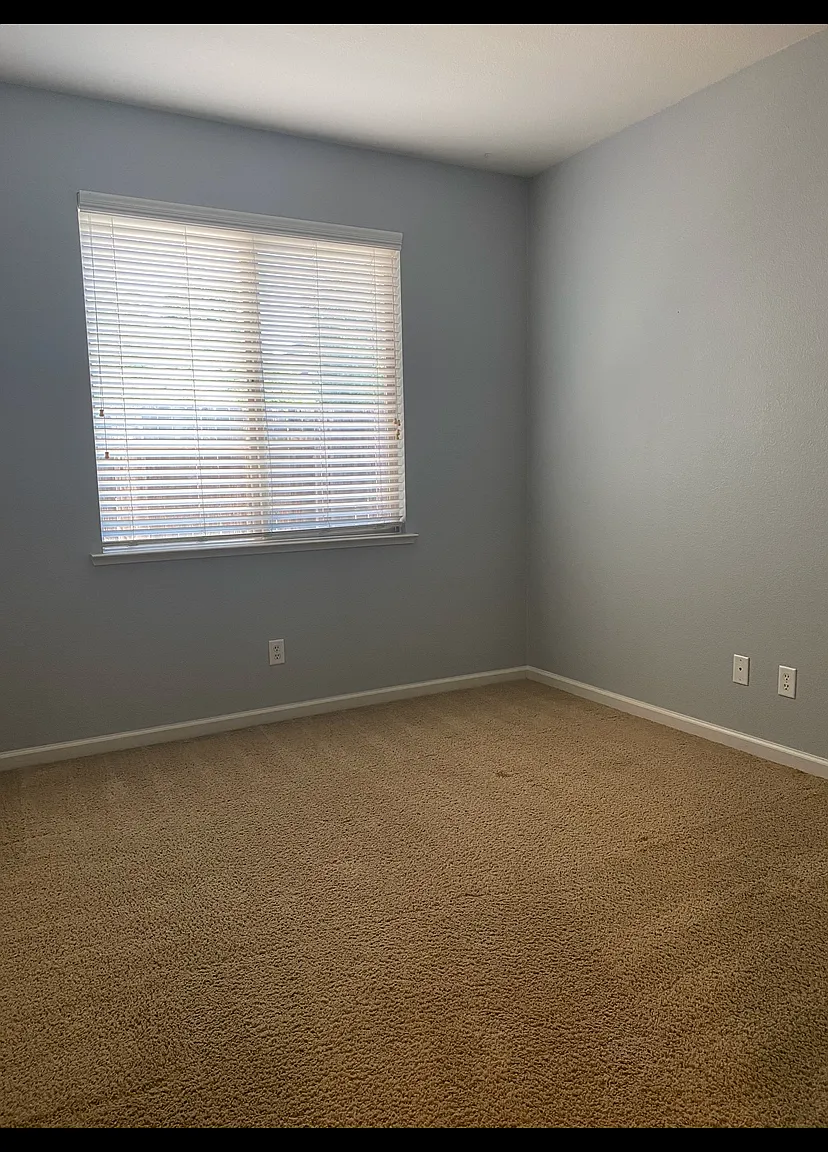 1 bed, 350 sqft, $1,200 — Photo 3