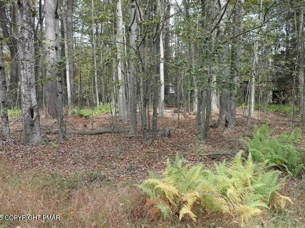 Paxino South Dr #Dr1-6, Pocono Lake, PA 18347