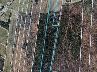 9999 Blue Newkirk Rd, Magnolia, NC 28453