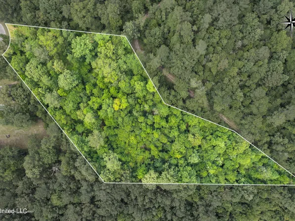 Pecanwood Lot 6, Petal, MS 39465