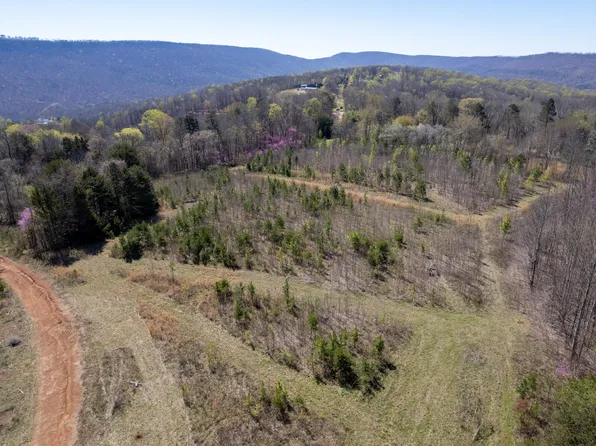 3607 County Road 792, Flat Rock, AL 35966