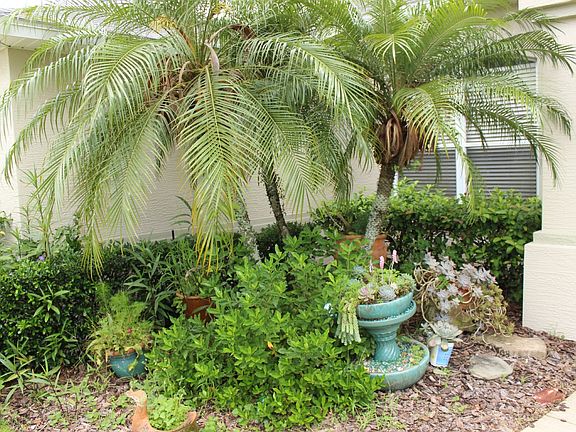5th image of 6739 Ferri Cir