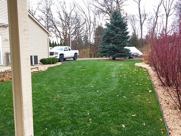 All new front yard landscape