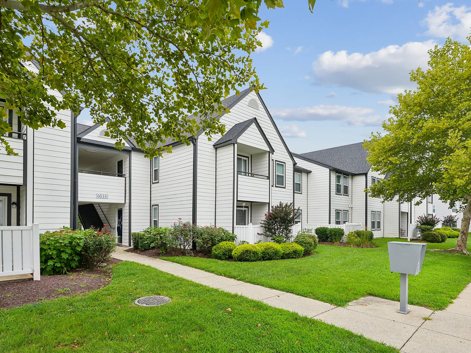 New Forest Apartments — Photo 3