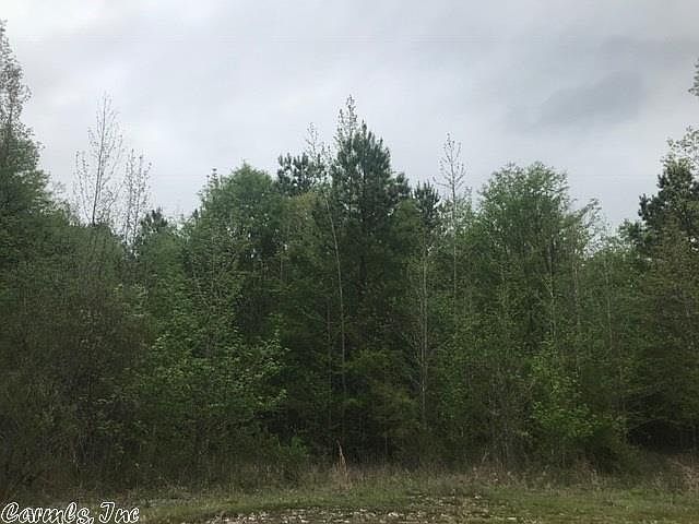 2nd image of 21829 William Brandon Dr
