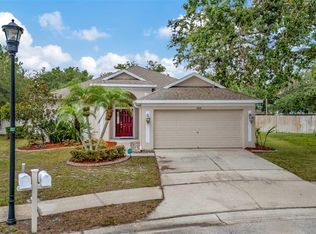 11123 Silver Dancer Dr, Riverview, FL 33579
