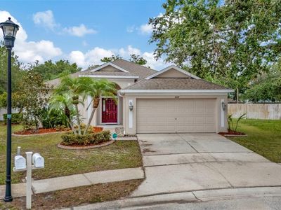 11123 Silver Dancer Dr, Riverview, FL, 33579