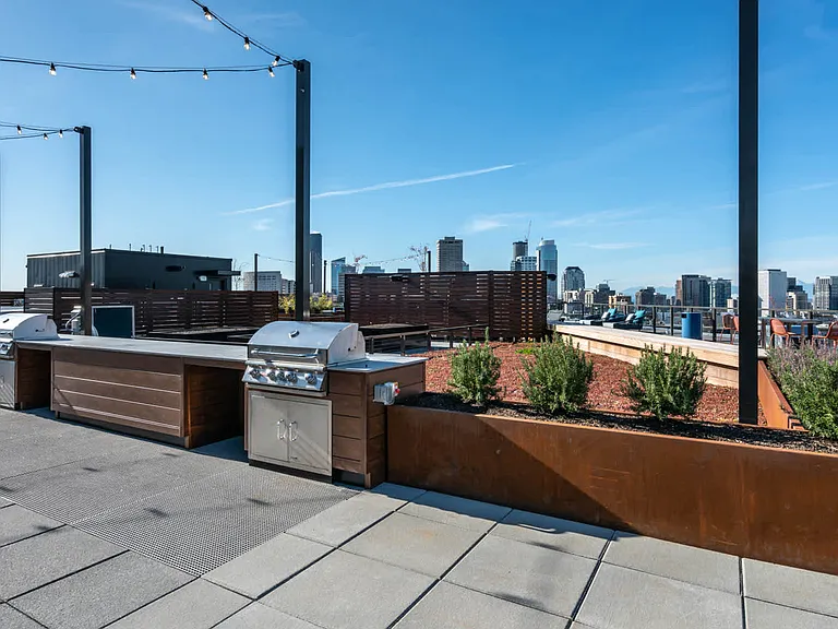 Rooftop BBQ Grilling