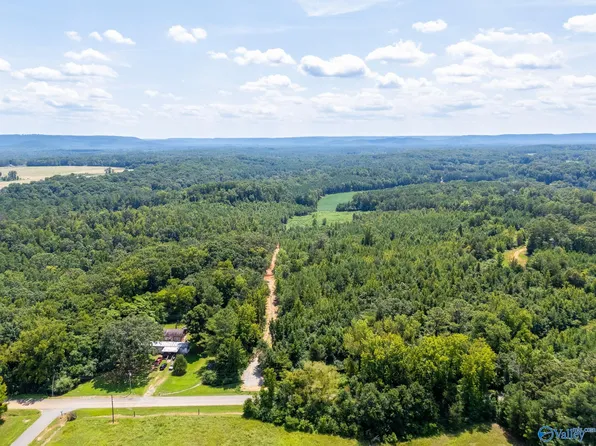 4 Curry Chapel Rd, Somerville, AL 35670