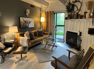 222 Creekside Dr, Frisco, CO 80443