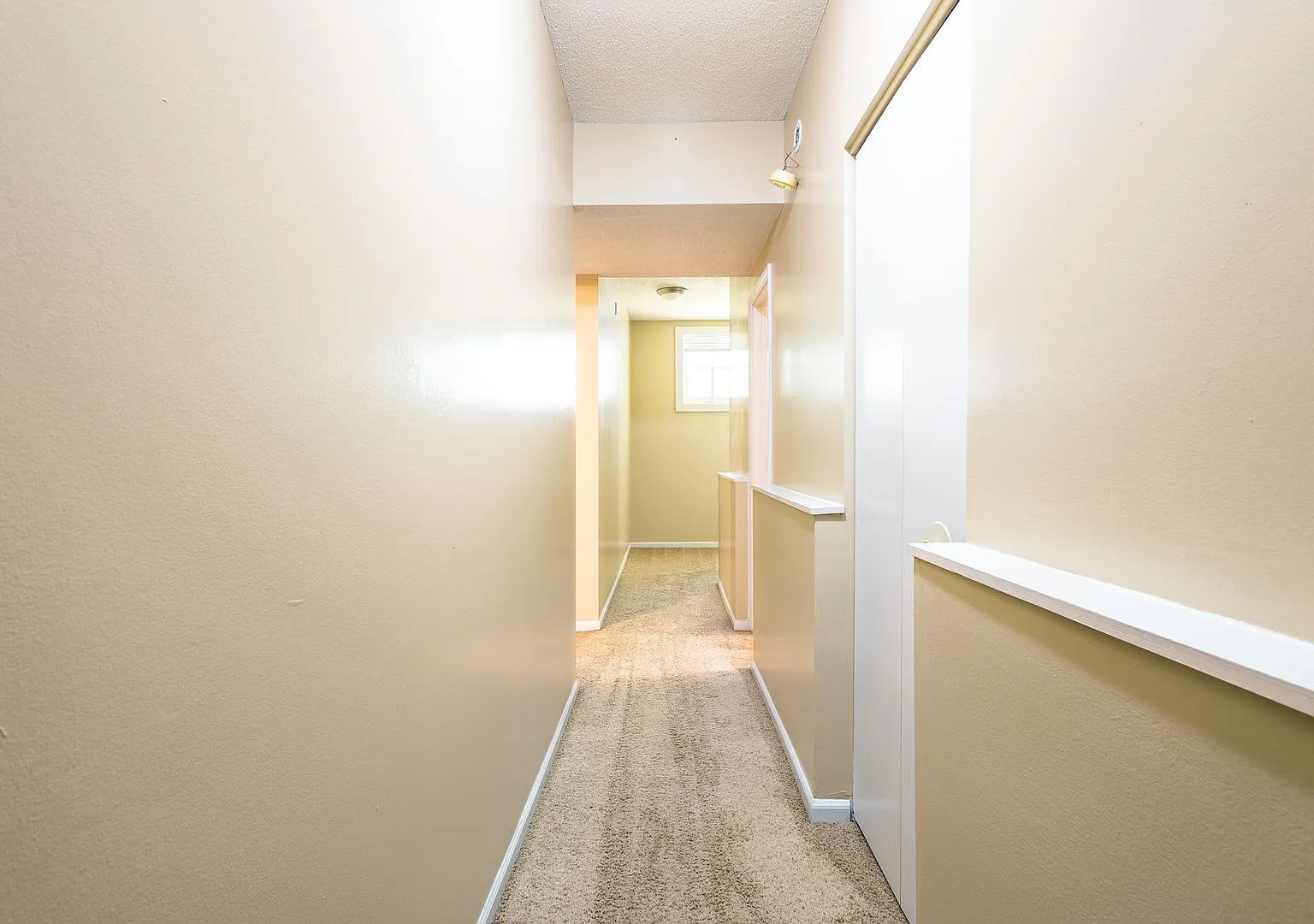 Saunders Apartments — Photo 4