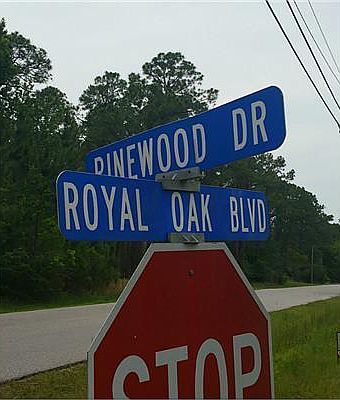 2nd image of Royal Oak