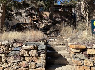 167 Virginia Canyon Rd, Idaho Springs, CO 80452