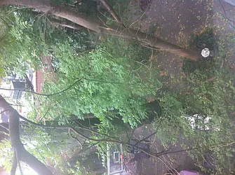 Rented by Downtown Realty Group LTD