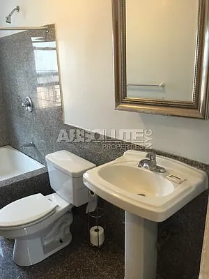 Rented by Absolute Properties of NYC | media 7