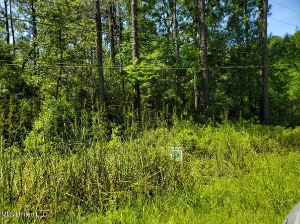 No Daily Rd, Gautier, MS 39553